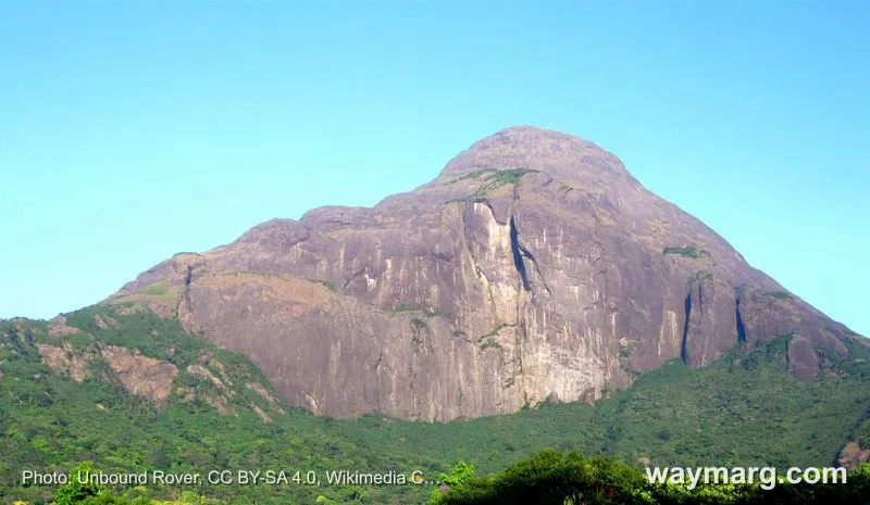 Pothigai Hills range, Tamil Nadu